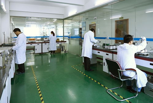 本地服務(wù)全國(guó)連，黑河五大連池檢測(cè)到位更省心——“機(jī)構(gòu)篩選避坑實(shí)訓(xùn)專題之服務(wù)距離紅利工具包校準(zhǔn)說(shuō)明書×版情報(bào)分析現(xiàn)場(chǎng)解讀